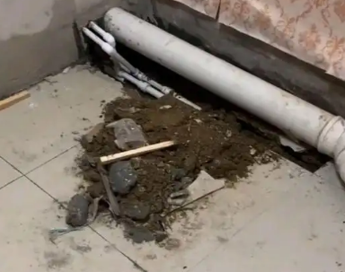 洞口卫生间漏水检测哪家好