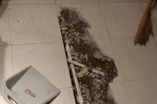 洞口卫生间漏水检测电话